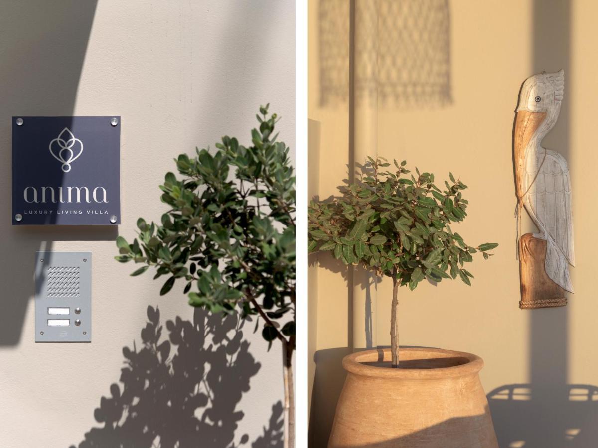 Anima Seaview Luxury Living Villa, By Thinkvilla Gazi エクステリア 写真